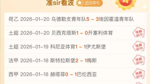 2023-2024赛季德甲联赛最佳射手排行榜