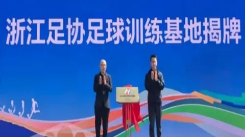 大乐透期号专家推荐：主队状态解析及质合前区十码分析